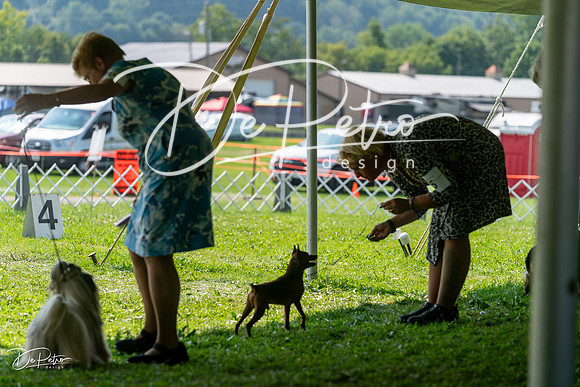 20240816-DSC00284