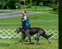 20250629-DSC09408
