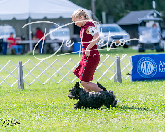 20240630-DSC03450