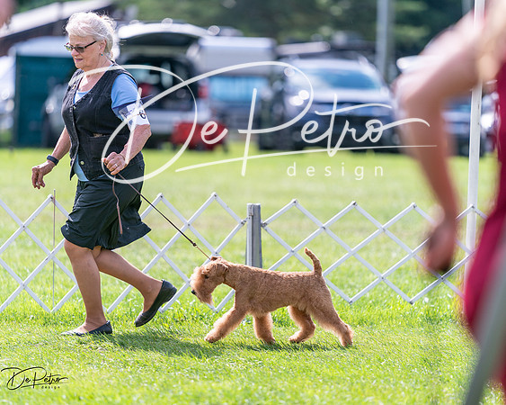 20240630-DSC03780