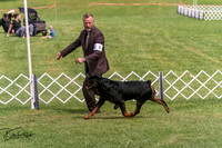 20250628-DSC08042