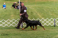 20250628-DSC08046
