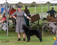 20250628-DSC08849