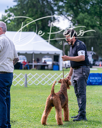 20240630-DSC03707