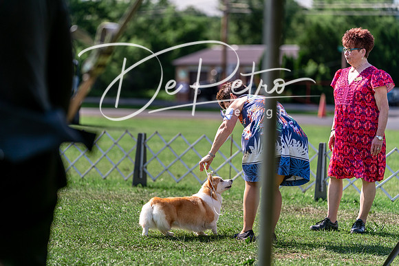 20240630-DSC04989
