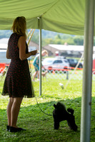 20240816-DSC00183