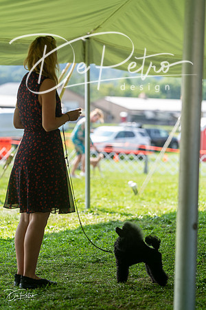 20240816-DSC00183