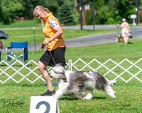 20250629-DSC00812