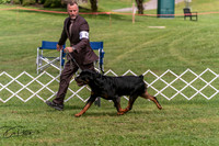 20250628-DSC08070