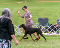 20250628-DSC07264