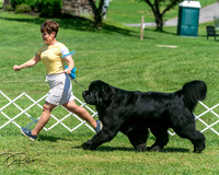 20250629-DSC09656