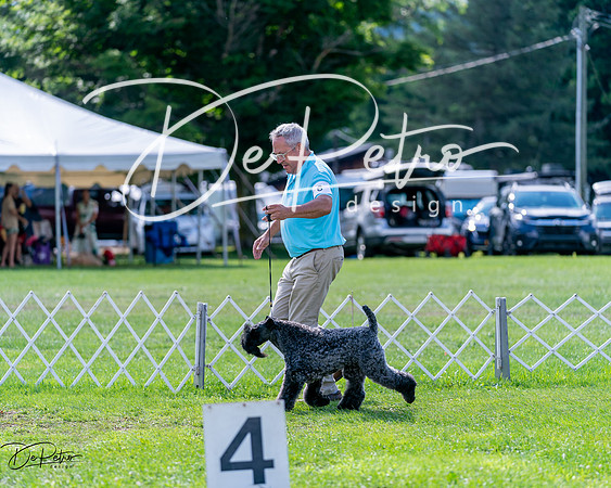 20240630-DSC03426