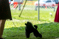 20240816-DSC00156