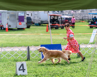 20240815-DSC07856
