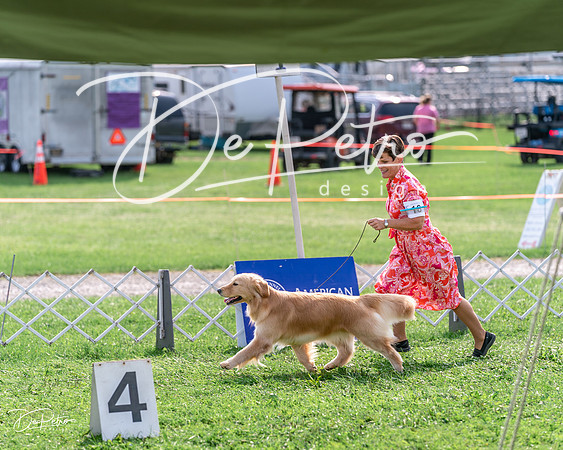 20240815-DSC07856