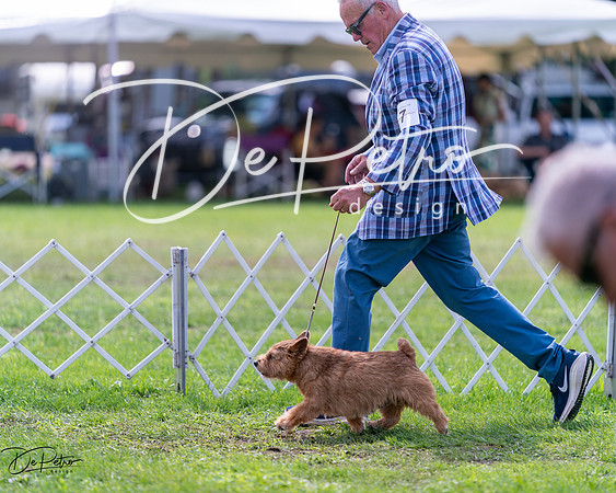 20240630-DSC03819