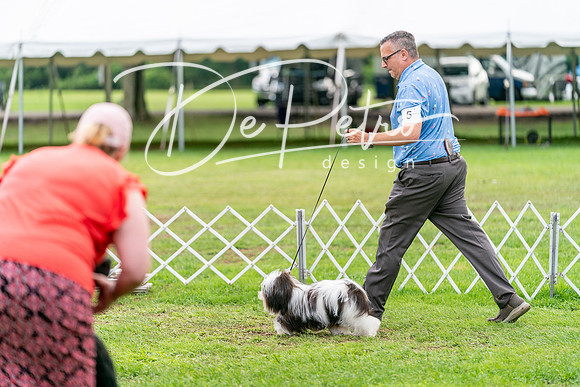 20240630-DSC05638
