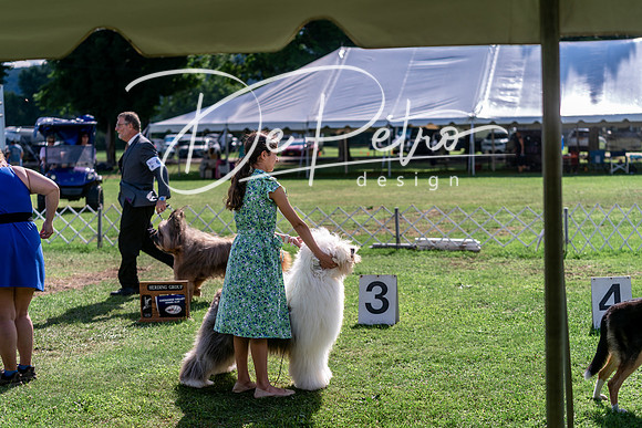 20240630-DSC05003