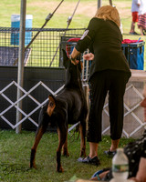 20250628-DSC07984
