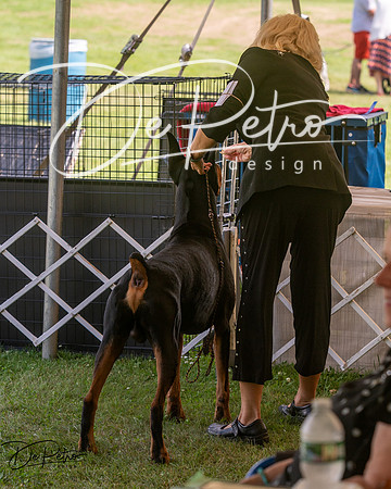 20250628-DSC07984