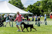 20190609-DSC09375