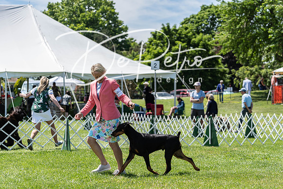 20190609-DSC09375