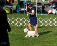 20240913-DSC00106