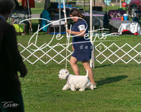 20240913-DSC00106
