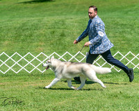 20250629-DSC09688