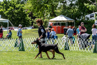 20190609-DSC09388