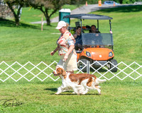 20250629-DSC00045