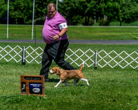20250629-DSC09536