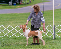 20250628-DSC07292