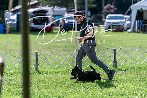 20240630-DSC05128