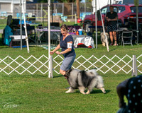 20240913-DSC00069