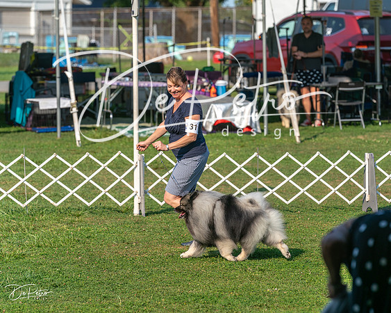 20240913-DSC00069