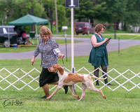 20250628-DSC07369