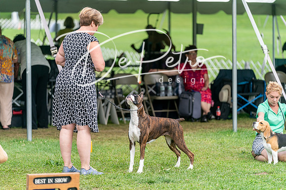 20240630-DSC05677