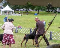 20250628-DSC07268
