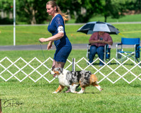 20250629-DSC00831