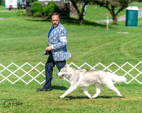 20250629-DSC01131