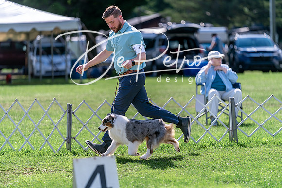 20240630-DSC04901