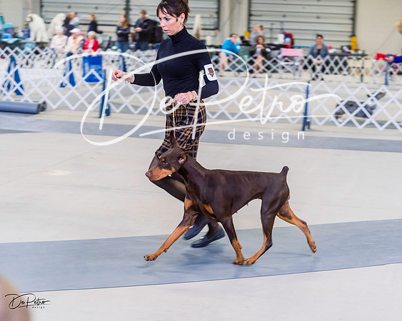 20220306-DSC00619