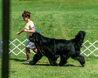 20250629-DSC09653