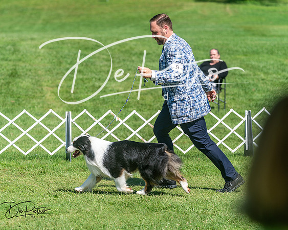 20250629-DSC00987