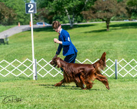 20250629-DSC00100