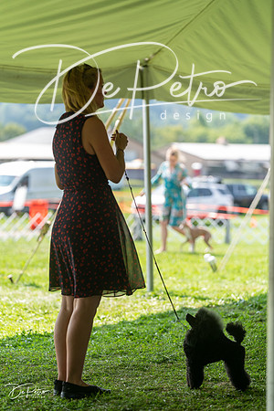 20240816-DSC00193