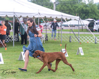 20250626-DSC04399