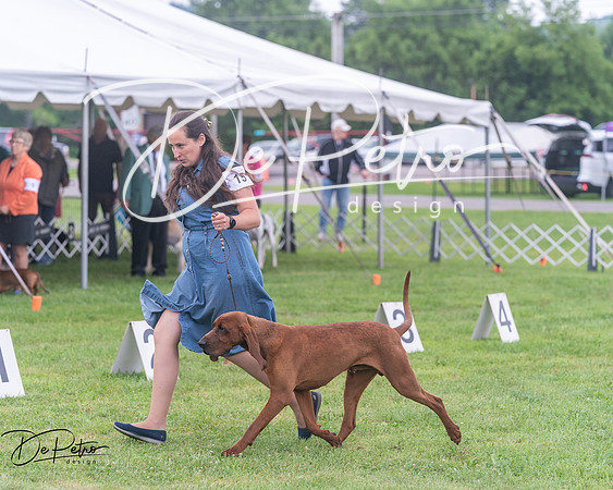20250626-DSC04399