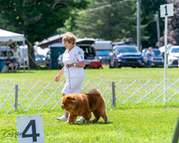 20240630-DSC02483